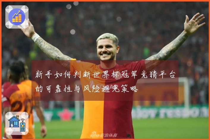 新手如何判断世界杯冠军竞猜平台的可靠性与风险避免策略