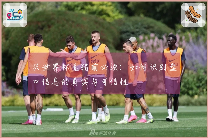 买世界杯竞猜前必读：如何识别盘口信息的真实与可信性