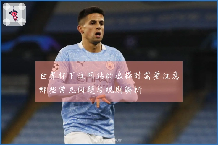 世界杯下注网站的选择时需要注意哪些常见问题与规则解析