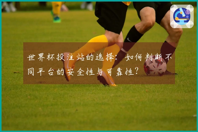 世界杯投注站的选择:如何判断不同平台的安全性与可靠性?