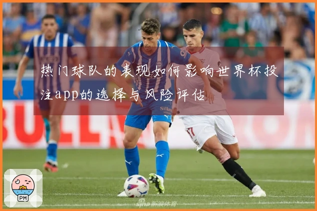 热门球队的表现如何影响世界杯投注app的选择与风险评估