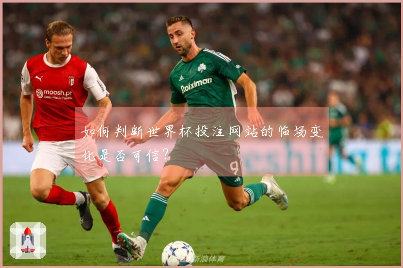 如何判断世界杯投注网站的临场变化是否可信？