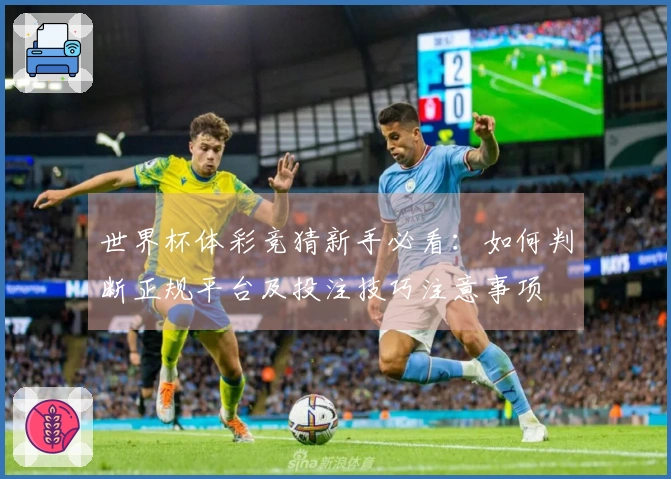 世界杯体彩竞猜新手必看:如何判断正规平台及投注技巧注意事项