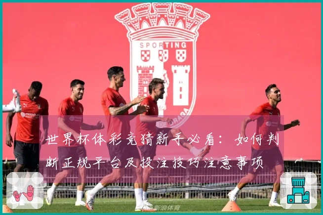 世界杯体彩竞猜新手必看：如何判断正规平台及投注技巧注意事项