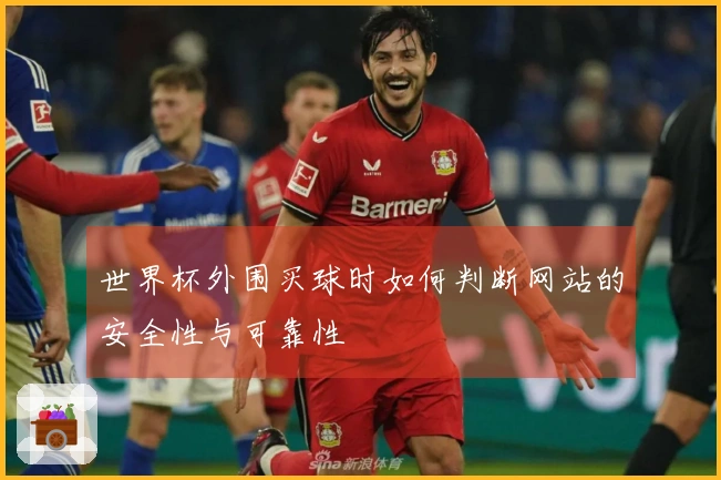 世界杯外围买球时如何判断网站的安全性与可靠性