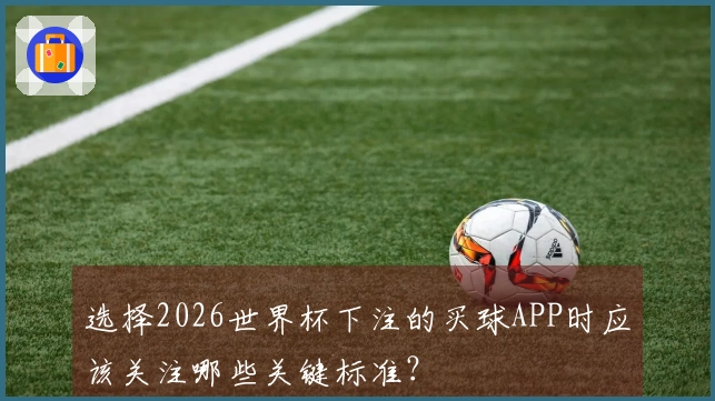 选择2026世界杯下注的买球APP时应该关注哪些关键标准？
