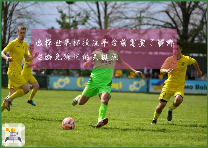 选择世界杯投注平台前需要了解哪些避免踩坑的关键点