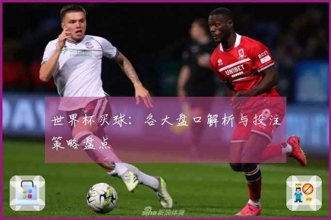 世界杯买球：各大盘口解析与投注策略盘点