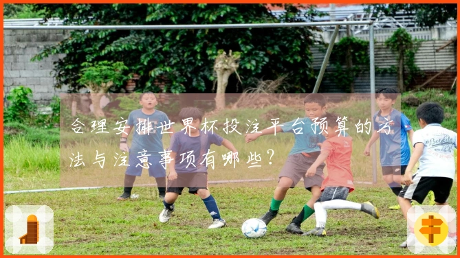 合理安排世界杯投注平台预算的方法与注意事项有哪些？