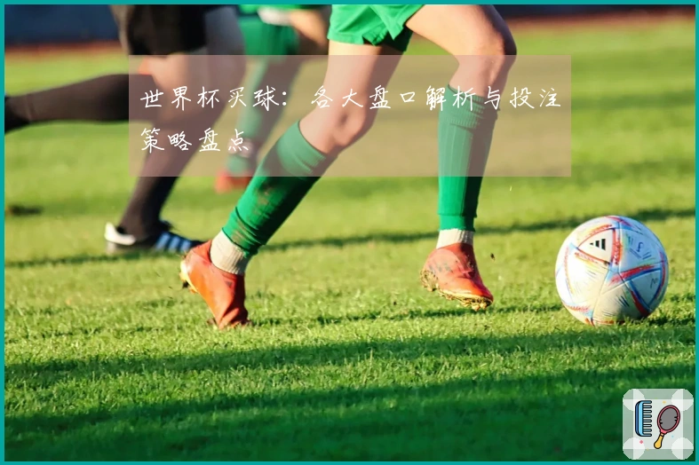 世界杯买球：各大盘口解析与投注策略盘点