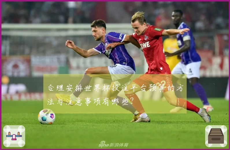 合理安排世界杯投注平台预算的方法与注意事项有哪些？