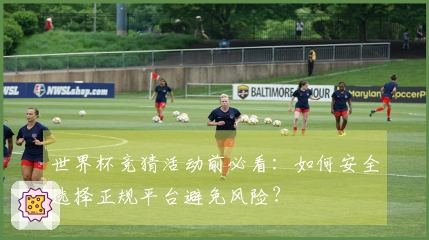 世界杯竞猜活动前必看:如何安全选择正规平台避免风险?