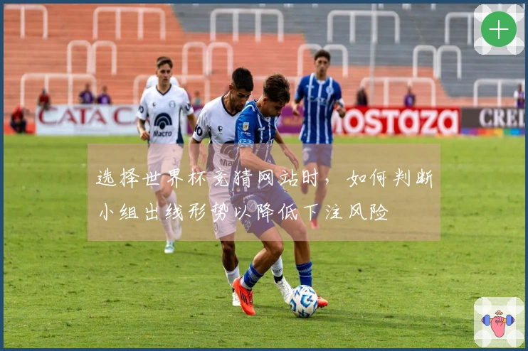 选择世界杯竞猜网站时,如何判断小组出线形势以降低下注风险