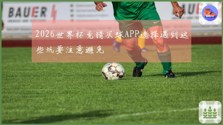 2026世界杯竞猜买球APP选择遇到这些坑要注意避免