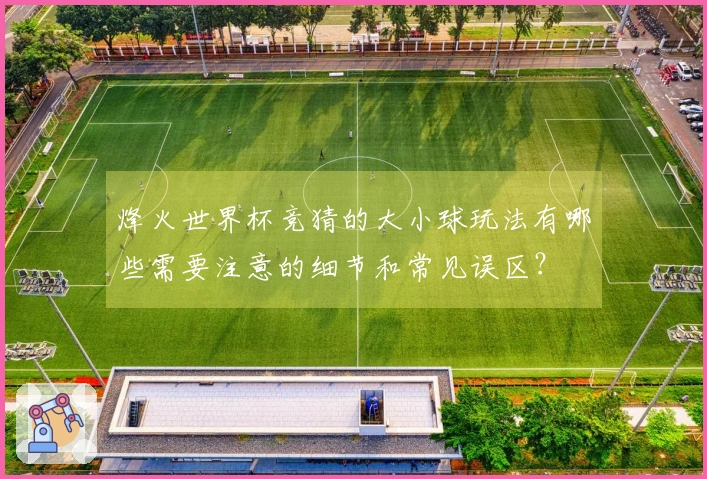 烽火世界杯竞猜的大小球玩法有哪些需要注意的细节和常见误区？