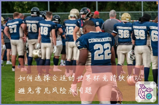 如何选择合适的世界杯竞猜软件以避免常见风险和问题
